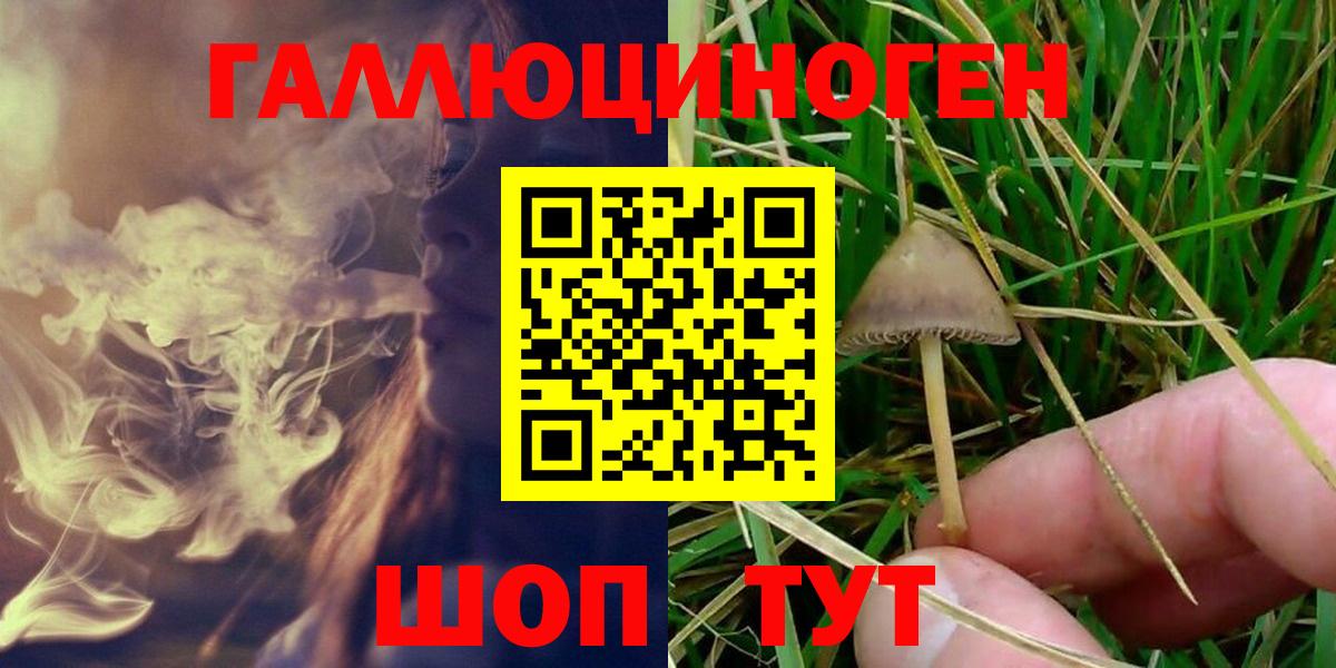 Торжок  Галлюциногенные грибы MAGIC MUSHROOMS  Вход с VPN 